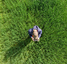 drone operator, drone pilot, field, aerial view, quadrocopter, technology, drone operator, drone operator, drone pilot, drone pilot, drone pilot, drone pilot, drone pilot